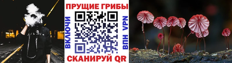 Галлюциногенные грибы Magic Shrooms  Абакан 