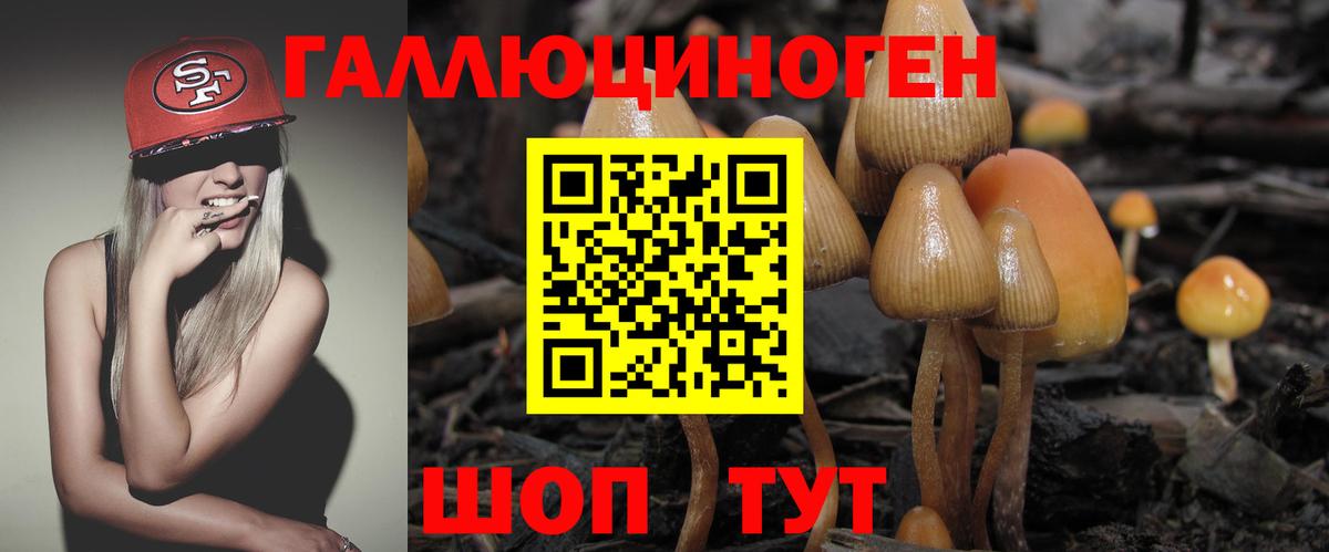 Галлюциногенные грибы мицелий Абакан