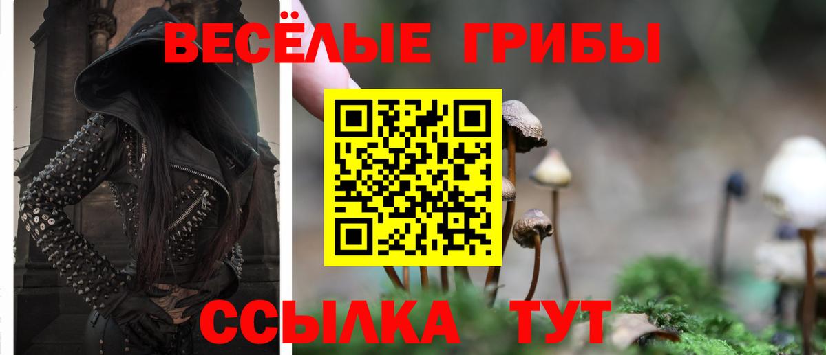 Галлюциногенные грибы Cubensis  Вход с VPN  Абакан  Псилоцибиновые грибы мицелий 