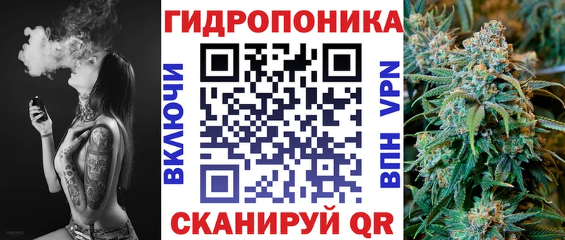 где купить наркоту  Абакан  KRAKEN зеркало  Шишки марихуана конопля 